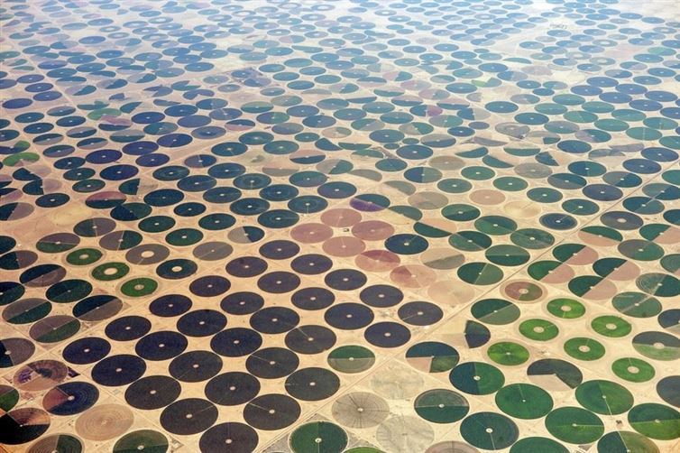 Farms in Saudi Arabia